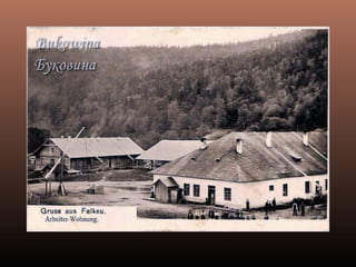Bucovina altui veac