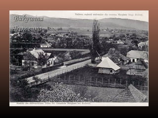 Bucovina altui veac