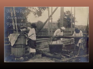 Bucovina altui veac