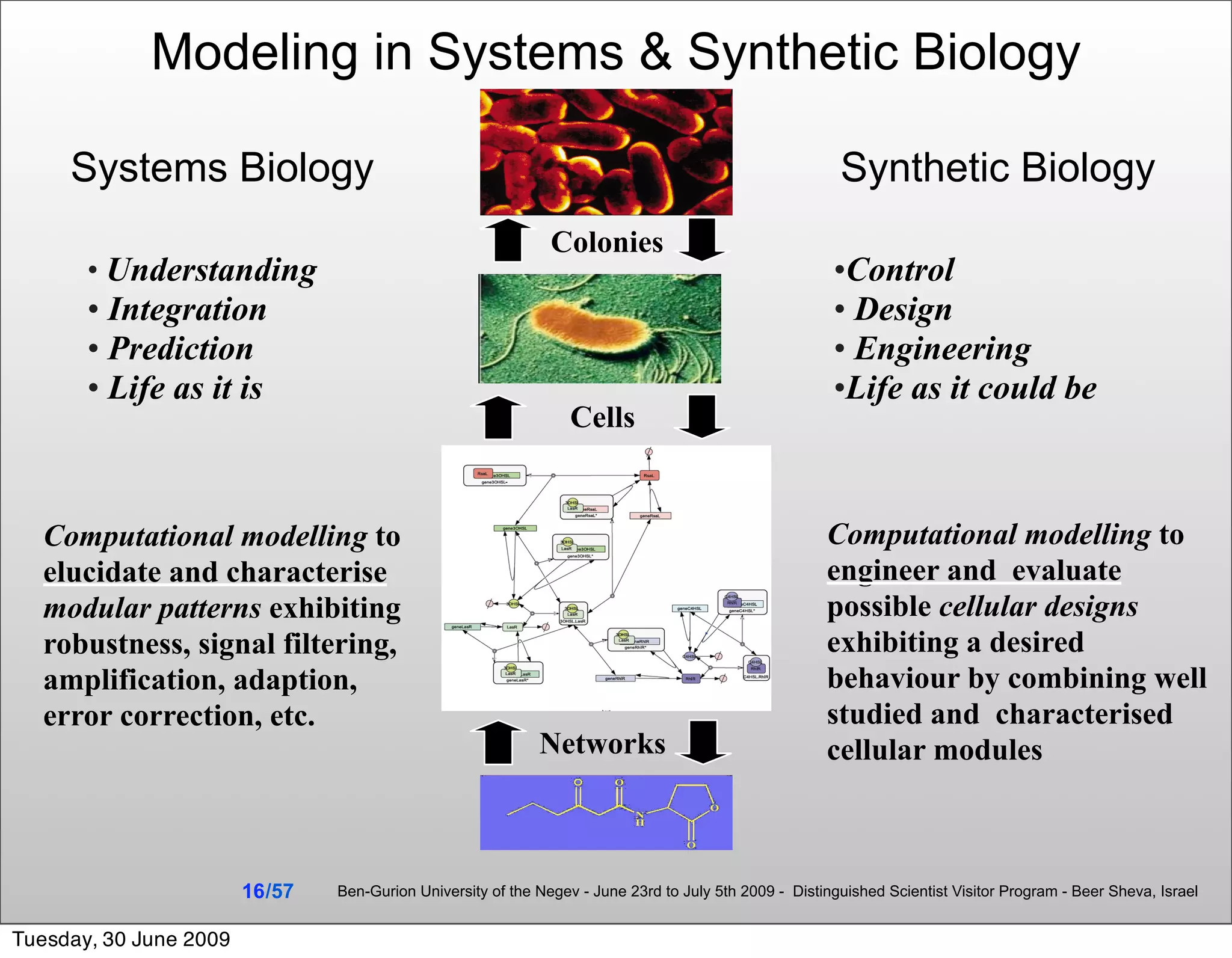Modeling in Systems & Synthetic Biology

     Systems Biology                                                                                      Synthetic Biology
                                                                Colonies
       • Understanding                                                                                   •Control
       • Integration                                                                                     • Design
       • Prediction                                                                                      • Engineering
       • Life as it is                                                                                   •Life as it could be
                                                                   Cells


  Computational modelling to                                                                            Computational modelling to
  elucidate and characterise                                                                            engineer and evaluate
  modular patterns exhibiting                                                                           possible cellular designs
  robustness, signal filtering,                                                                         exhibiting a desired
  amplification, adaption,                                                                              behaviour by combining well
  error correction, etc.                                                                                studied and characterised
                                                              Networks                                  cellular modules



                        16 /57   Ben-Gurion University of the Negev - June 23rd to July 5th 2009 - Distinguished Scientist Visitor Program - Beer Sheva, Israel


Tuesday, 30 June 2009
 