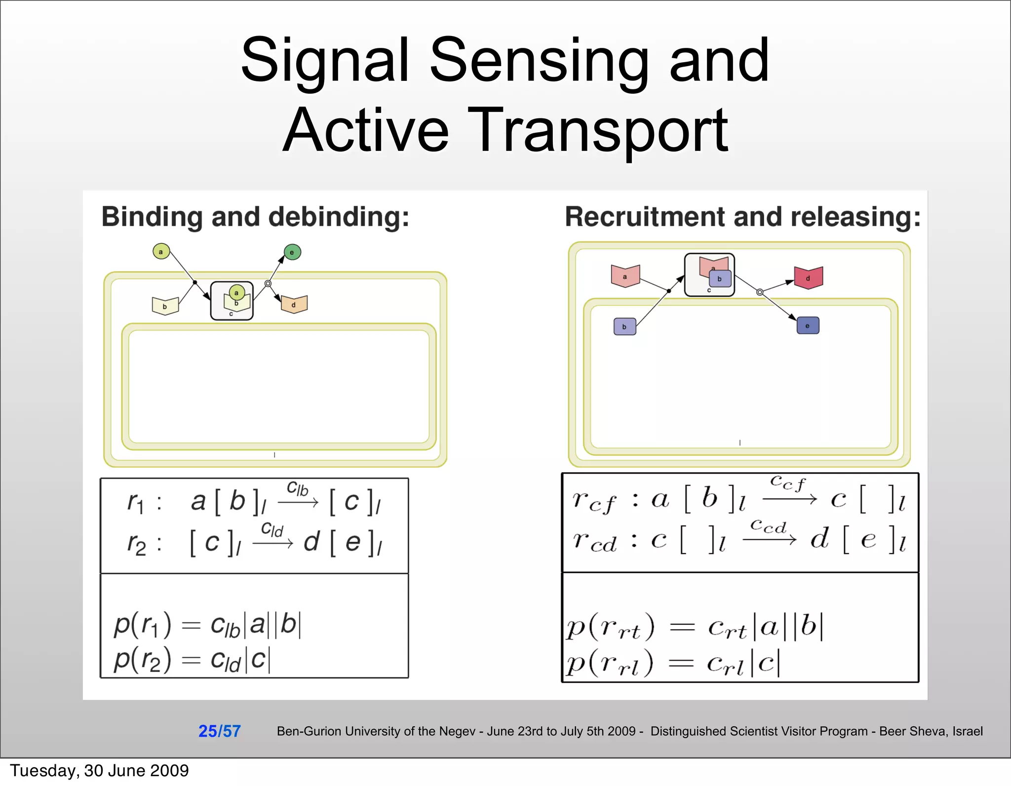 Signal Sensing and
                              Active Transport




                        25 /57   Ben-Gurion University of the Negev - June 23rd to July 5th 2009 - Distinguished Scientist Visitor Program - Beer Sheva, Israel


Tuesday, 30 June 2009
 