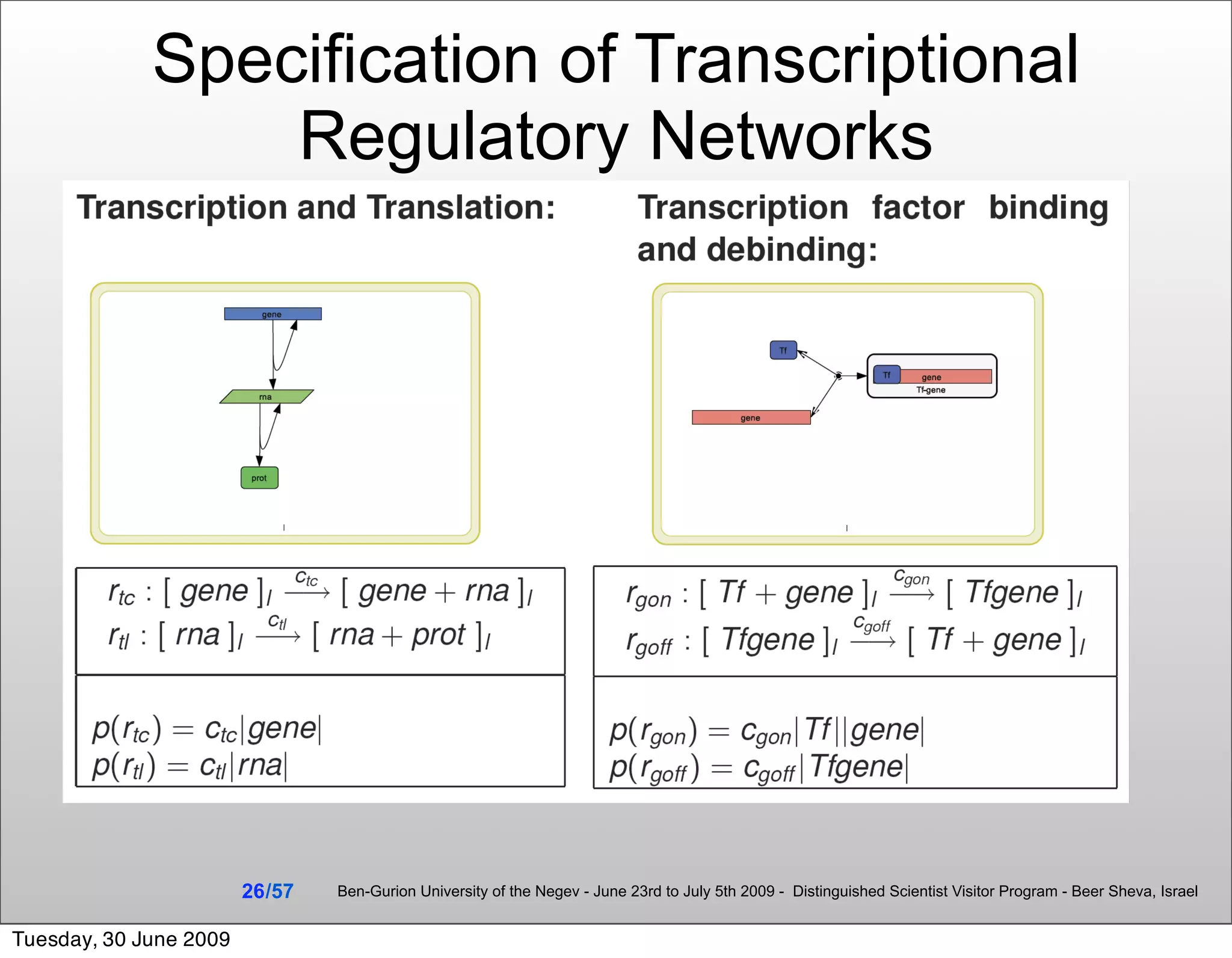Specification of Transcriptional
                 Regulatory Networks




                        26 /57   Ben-Gurion University of the Negev - June 23rd to July 5th 2009 - Distinguished Scientist Visitor Program - Beer Sheva, Israel


Tuesday, 30 June 2009
 