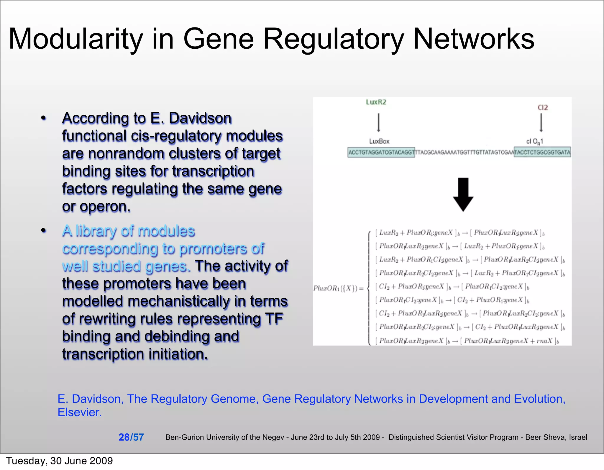 Modularity in Gene Regulatory Networks

          According to E. Davidson
           functional cis-regulatory modules
           are nonrandom clusters of target
           binding sites for transcription
           factors regulating the same gene
           or operon.
          A library of modules
           corresponding to promoters of
           well studied genes. The activity of
           these promoters have been
           modelled mechanistically in terms
           of rewriting rules representing TF
           binding and debinding and
           transcription initiation.

          E. Davidson, The Regulatory Genome, Gene Regulatory Networks in Development and Evolution,
          Elsevier.

                        28 /57   Ben-Gurion University of the Negev - June 23rd to July 5th 2009 - Distinguished Scientist Visitor Program - Beer Sheva, Israel


Tuesday, 30 June 2009
 