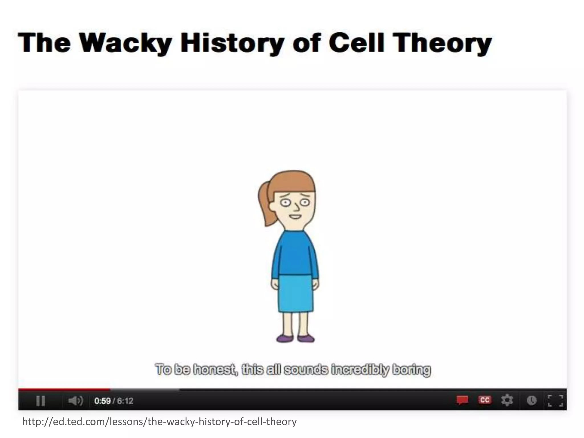 http://ed.ted.com/lessons/the-wacky-history-of-cell-theory
 