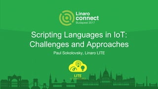 Scripting Languages in IoT:
Challenges and Approaches
Paul Sokolovsky, Linaro LITE
 