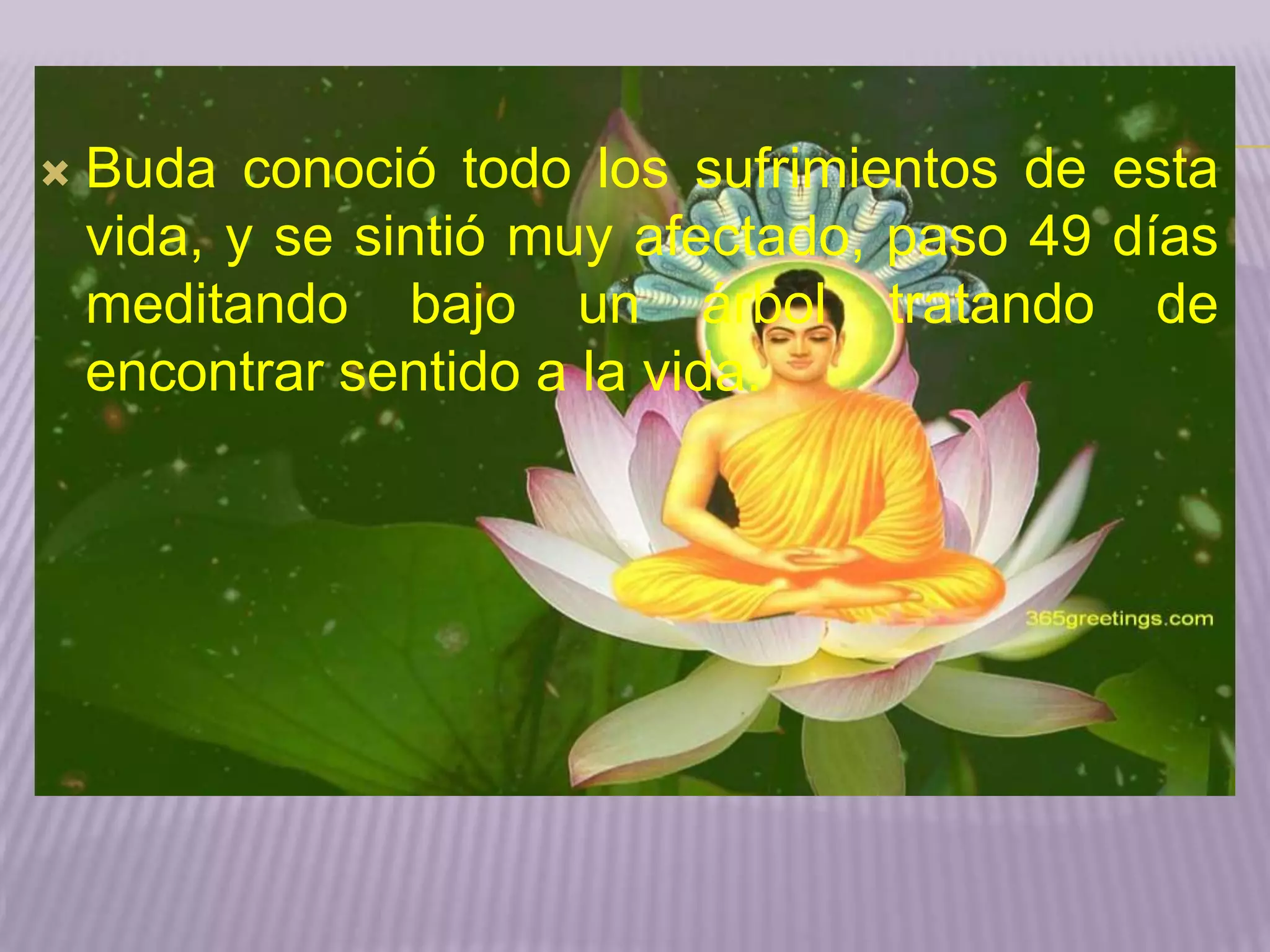 
Buda conoció todo los sufrimientos de esta
vida, y se sintió muy afectado, paso 49 días
meditando bajo un árbol tratando de
encontrar sentido a la vida.