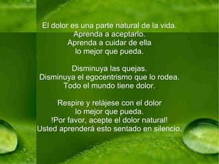 El dolor es una parte natural de la vida. Aprenda a aceptarlo. Aprenda a cuidar de ella lo mejor que pueda. Disminuya las quejas. Disminuya el egocentrismo que lo rodea. Todo el mundo tiene dolor. Respire y relájese con el dolor lo mejor que pueda. !Por favor, acepte el dolor natural! Usted aprenderá esto sentado en silencio. 