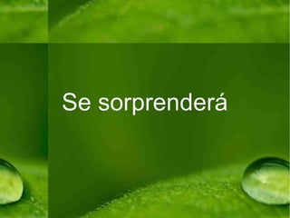 Se sorprenderá 