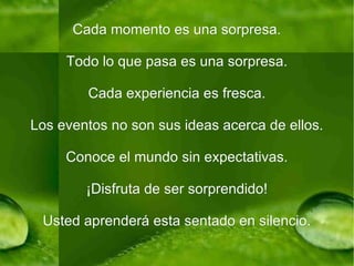 Cada momento es una sorpresa. Todo lo que pasa es una sorpresa. Cada experiencia es fresca. Los eventos no son sus ideas acerca de ellos. Conoce el mundo sin expectativas. ¡Disfruta de ser sorprendido! Usted aprenderá esta sentado en silencio. 