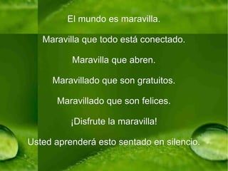 El mundo es maravilla. Maravilla que todo está conectado. Maravilla que abren. Maravillado que son gratuitos. Maravillado que son felices. ¡Disfrute la maravilla! Usted aprenderá esto sentado en silencio. 