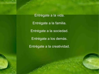 Entrégate a la vida. Entrégate a la familia. Entrégate a la sociedad. Entrégate a los demás. Entrégate a la creatividad. 