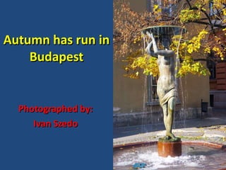 Autumn has run in Budapest Photographed by: Ivan Szedo 