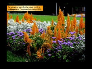 As primeiras eleições livres da história da  Hungria  só foram realizadas em 1990. 