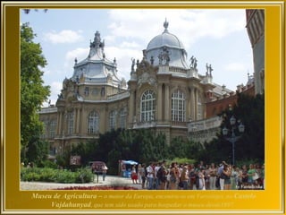 Museu de Agricultura – o maior da Europa, encontra-se em Varosliget, no Castelo
     Vajdahunyad, que tem sido usado para hospedar o museu desde1897.
 