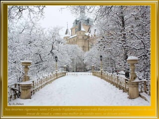 Nos invernos rigorosos, tanto o Castelo Vajdahunyad como toda Budapeste parecem conscientes de suas
               trocas de visual e, como uma mulher de vestido novo, se deixam admirar...
 