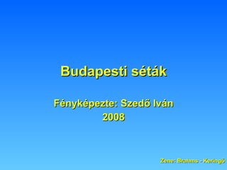 Budapesti séták Fényképezte: Szedő Iván 2008 Zene: Brahms - Keringő 