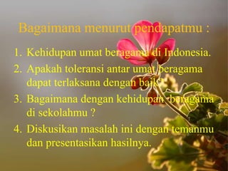 Bagaimana menurut pendapatmu :
1. Kehidupan umat beragama di Indonesia.
2. Apakah toleransi antar umat beragama
dapat terlaksana dengan baik?
3. Bagaimana dengan kehidupan beragama
di sekolahmu ?
4. Diskusikan masalah ini dengan temanmu
dan presentasikan hasilnya.
 