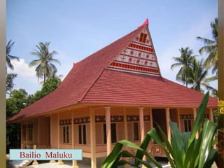 Bailio Maluku
 