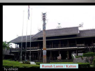 Rumah Lamin / Kaltim
 