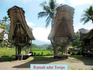 Rumah adat Toraja
 