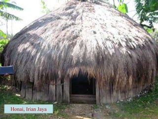 Honai, Irian Jaya
 