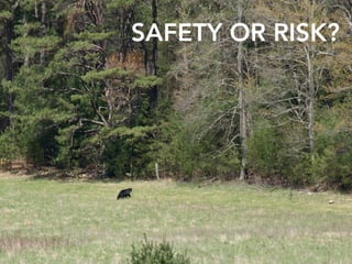 SAFETY OR RISK?
 