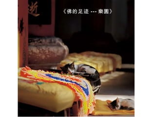 《佛的足迹 --- 樂園 》 