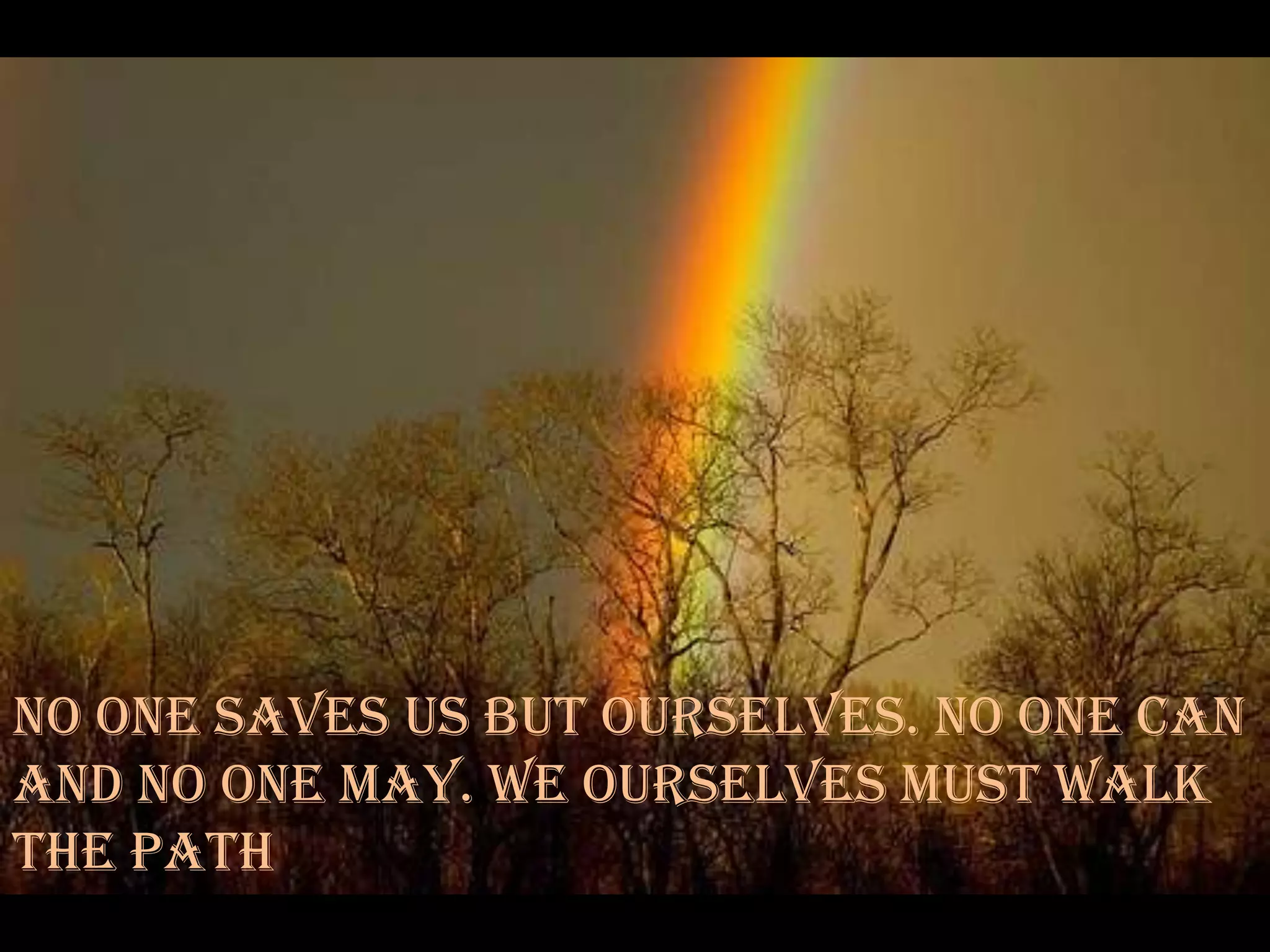 Buddha Quotes With Amazing Pictures