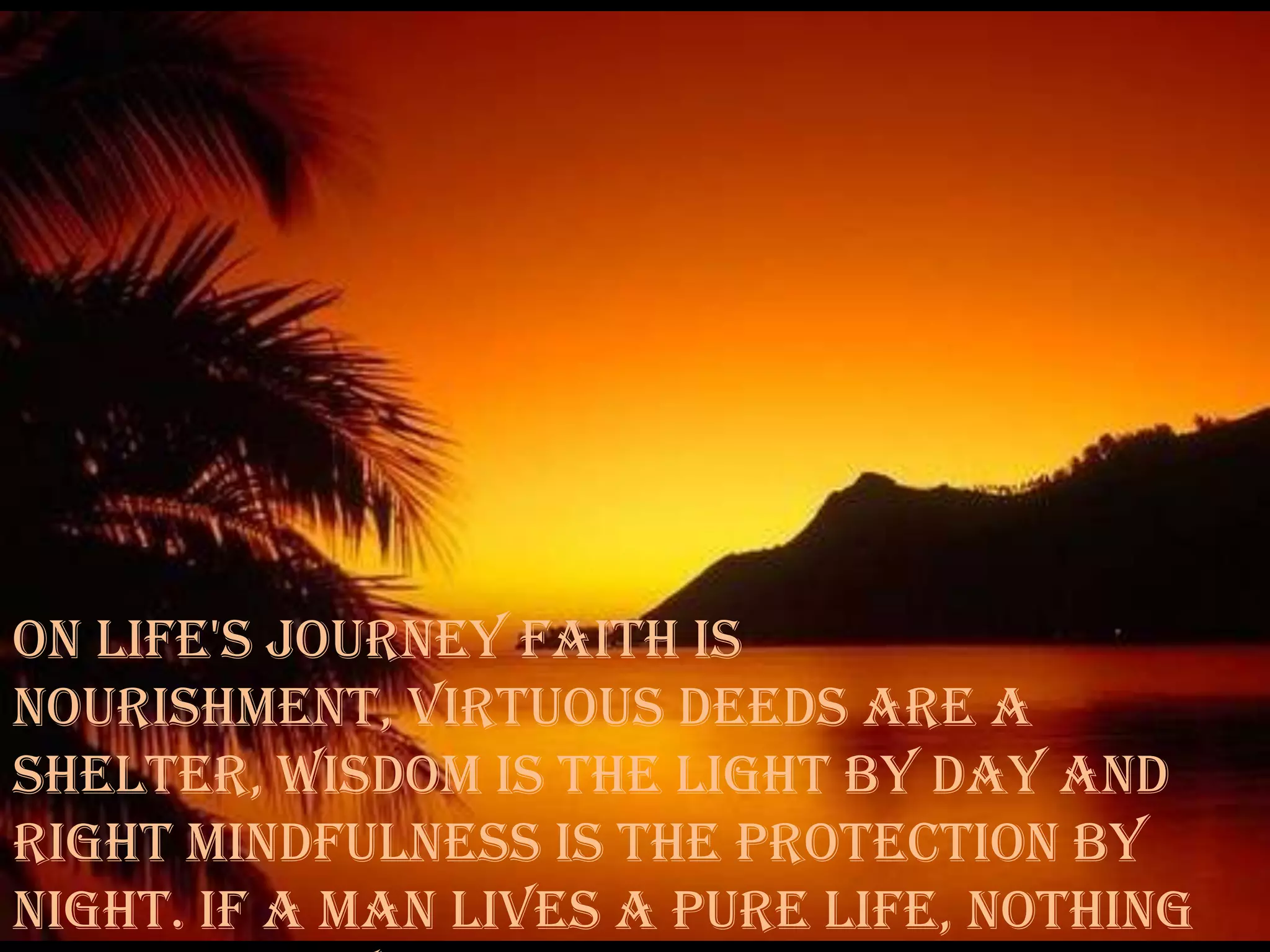 Buddha Quotes With Amazing Pictures