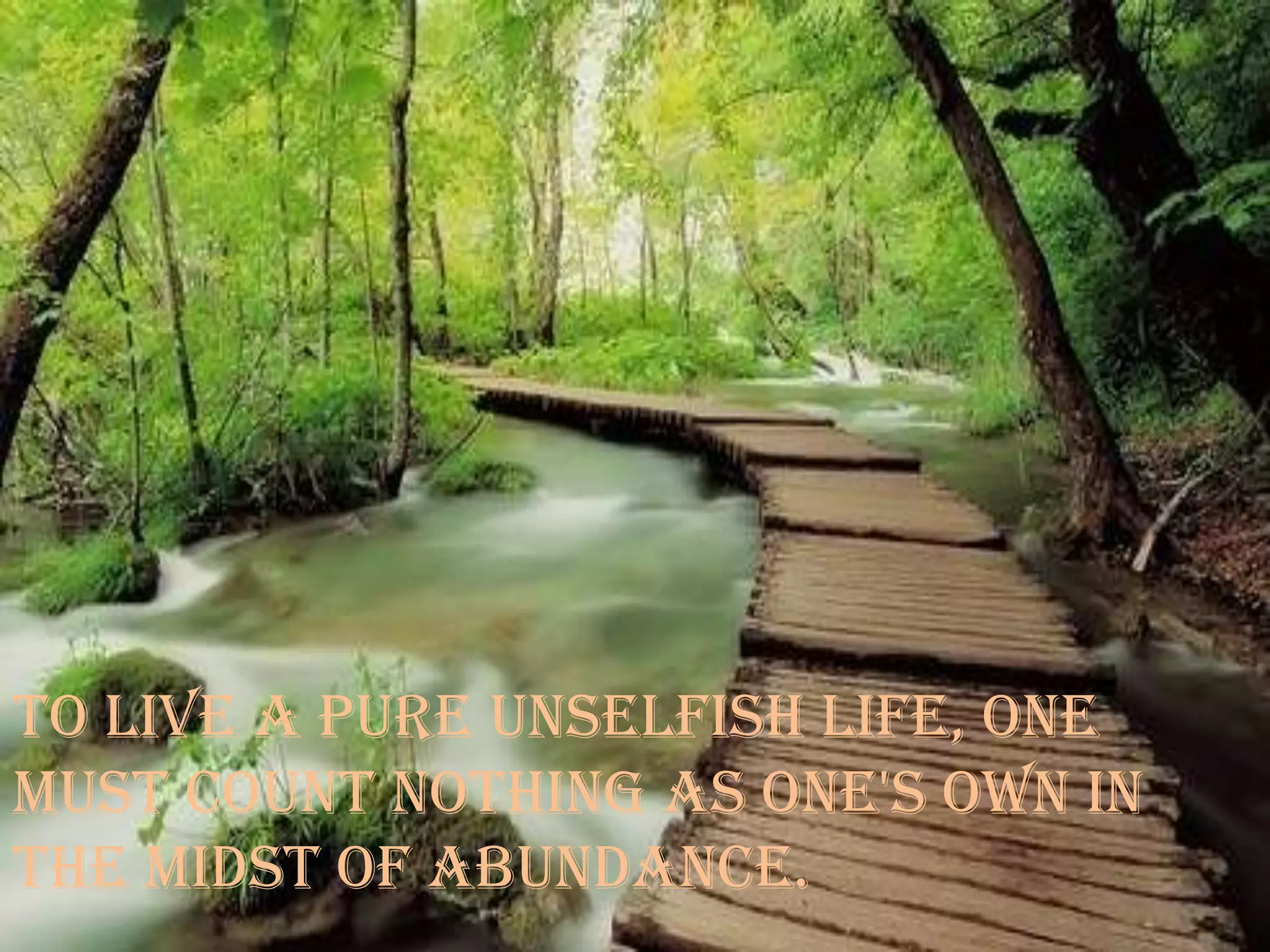 Buddha Quotes With Amazing Pictures