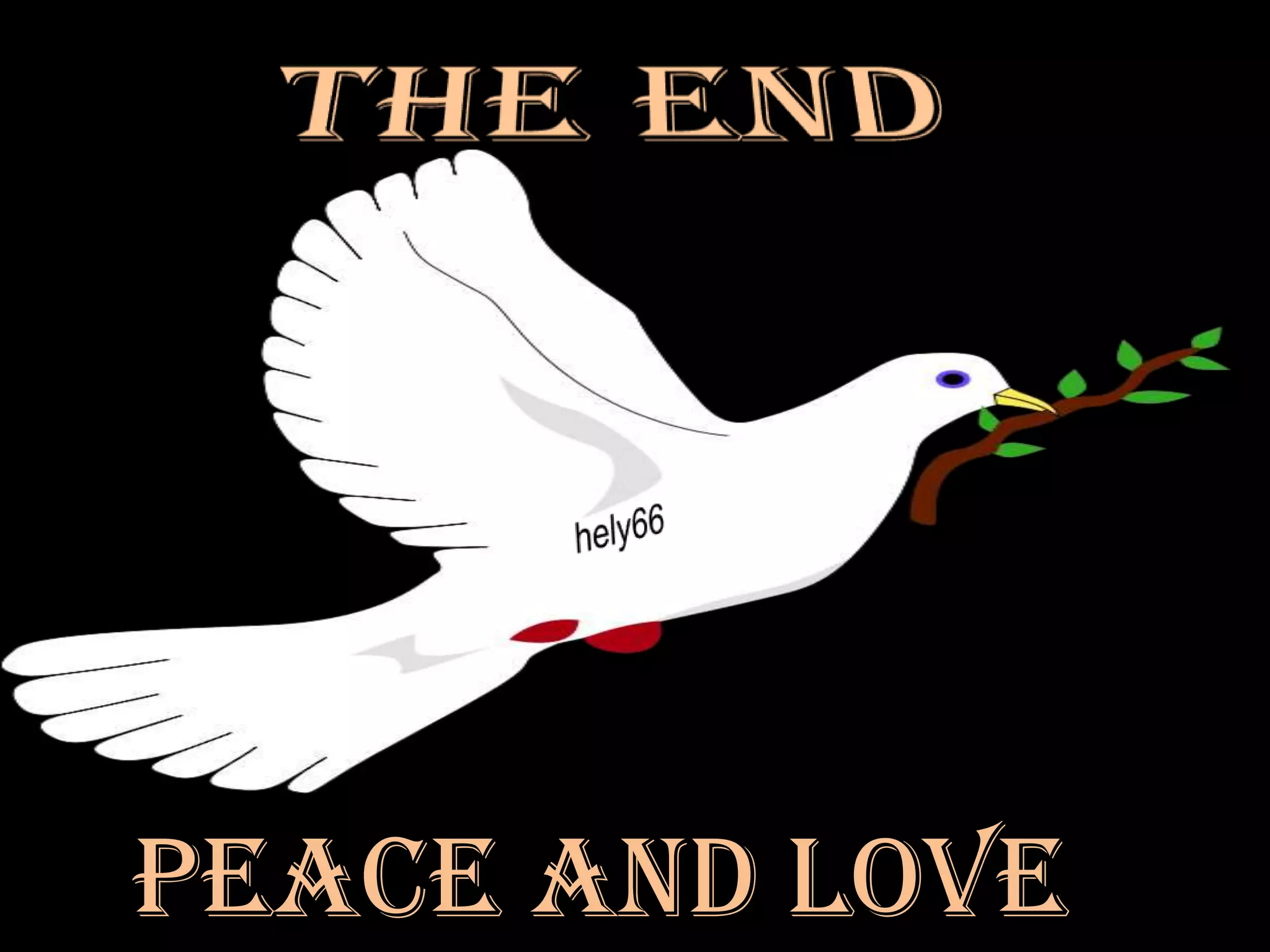 Buddha Quotes With Amazing Pictures