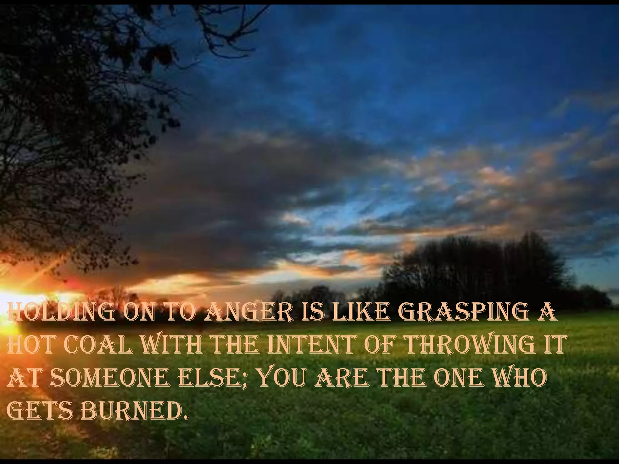 Buddha Quotes With Amazing Pictures