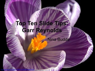 Top Ten Slide Tips:
Garr Reynolds
Nina Budde

http://www.flickr.com/photos/38551575@N00/2548545238/

 