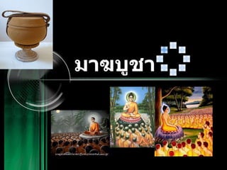 มาฆบูชา 