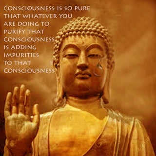 Buddha Says