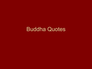 Buddha Quotes
 