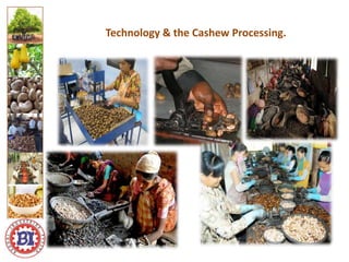Technology & the Cashew Processing.
Logo ici
Logo here
 