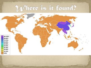 Where is it found?