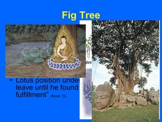 Fig Tree Revived from near-death by young girl, dedicates himself to meditation. Mindfulness of breathing to purify oneself of defilements and as a way to nirvana Lotus position under fig tree, vows not to leave until he found “complete and perfect fulfillment”  (Brodd, 72). 