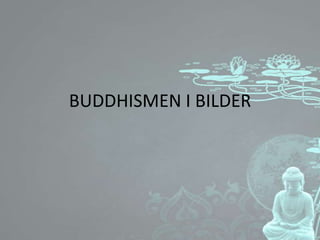 BUDDHISMEN I BILDER
 