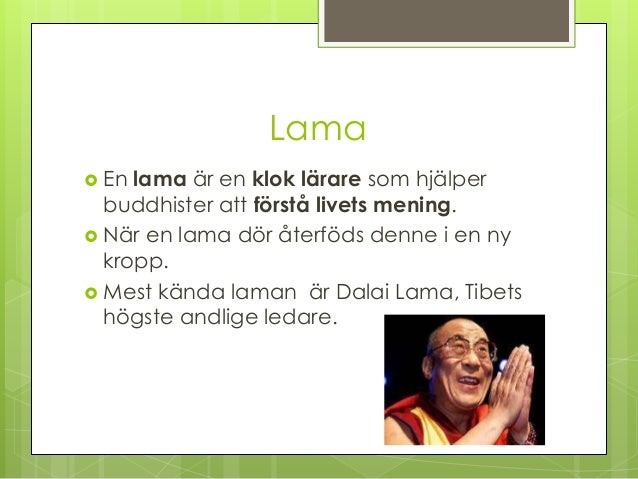 Hur Ska Människan Leva Enligt Buddhismen