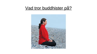 Vad tror buddhister på?
 