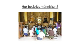 Hur beskrivs människan?
 