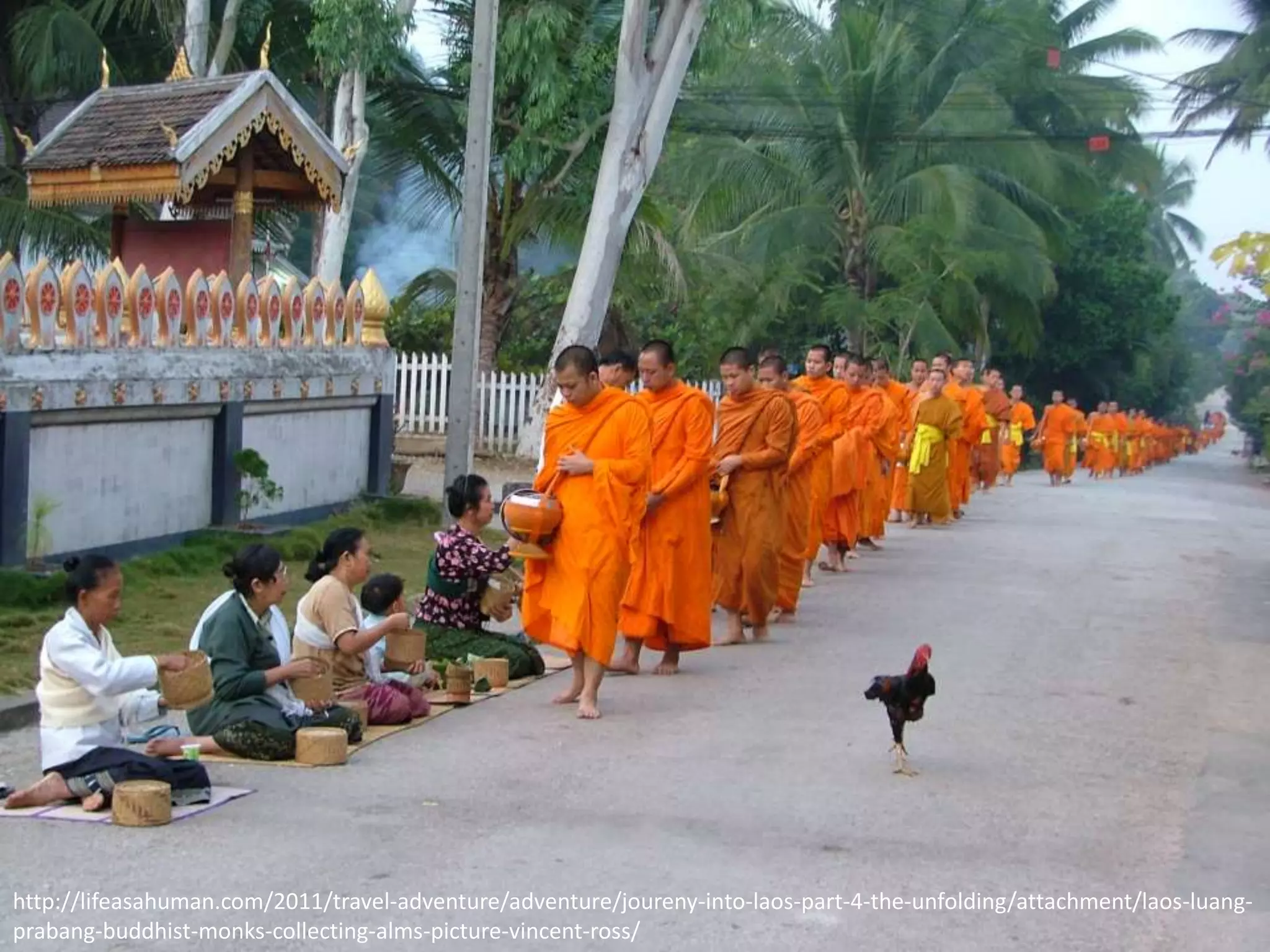 http://lifeasahuman.com/2011/travel-adventure/adventure/joureny-into-laos-part-4-the-unfolding/attachment/laos-luang-
prabang-buddhist-monks-collecting-alms-picture-vincent-ross/
 
