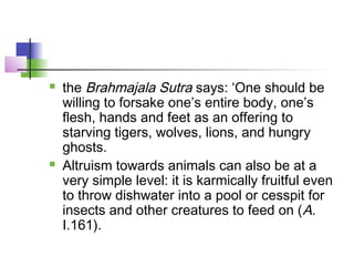  the Brahmajala Sutra says: ‘One should be
willing to forsake one’s entire body, one’s
flesh, hands and feet as an offering to
starving tigers, wolves, lions, and hungry
ghosts.
 Altruism towards animals can also be at a
very simple level: it is karmically fruitful even
to throw dishwater into a pool or cesspit for
insects and other creatures to feed on (A.
I.161).
 