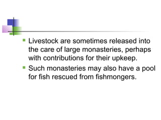  Livestock are sometimes released into
the care of large monasteries, perhaps
with contributions for their upkeep.
 Such monasteries may also have a pool
for fish rescued from fishmongers.
 