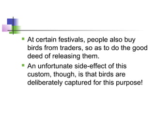  At certain festivals, people also buy
birds from traders, so as to do the good
deed of releasing them.
 An unfortunate side-effect of this
custom, though, is that birds are
deliberately captured for this purpose!
 