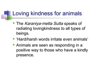 Loving kindness for animals
 The Karaniya-metta Sutta speaks of
radiating lovingkindness to all types of
beings.
 ‘Hard/harsh words irritate even animals’
 Animals are seen as responding in a
positive way to those who have a kindly
presence.
 