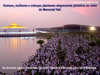 As árvores agora crescidas, provêm sombra e frescor para os visitantes.  Homens, mulheres e crianças plantaram alegremente pinheiros ao redor do Memorial Hall . 