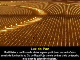 Luz de Paz Buddhistas e pacifistas de vários lugares participam nas cerimônias anuais de iluminação no  Dia do Maga Puja  (a noite de Lua cheia do terceiro mês lunar do calendário budista.) 